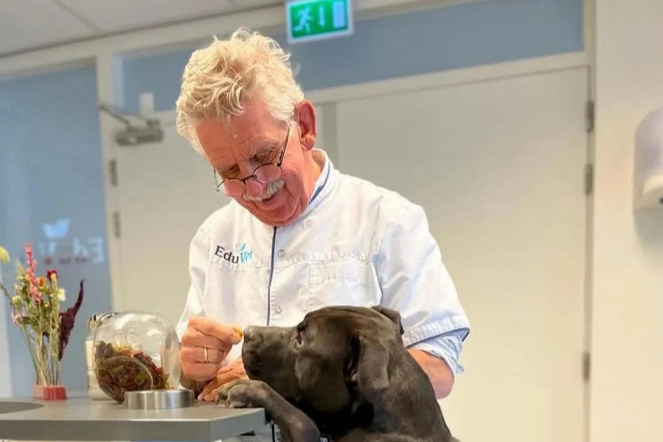 Online lezing ‘Chronische darmgezondheid stoornis, oorzaken en (gedrags)problemen’