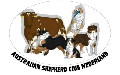 Vergoeding epilepsie onderzoek